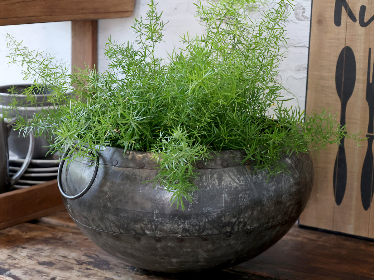 Antiqued metal pot flo & joe