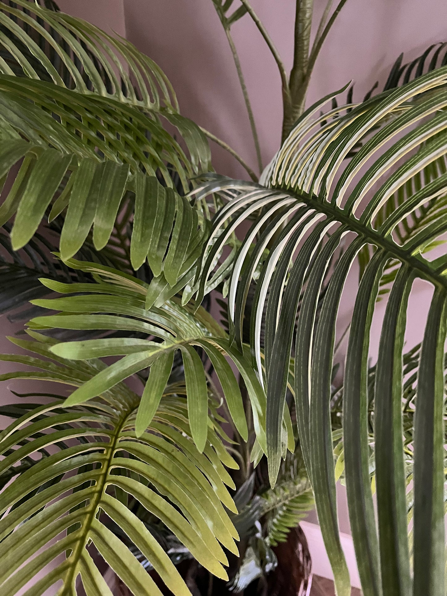Faux Areca Palm - 10ft