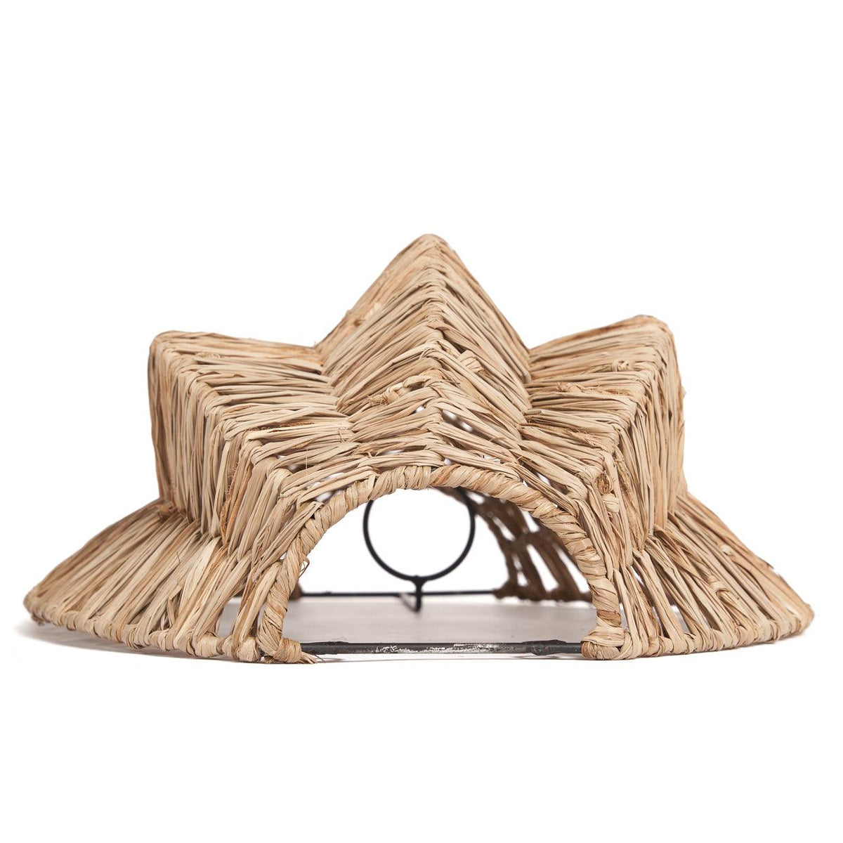 The avanti wall light flo & joe