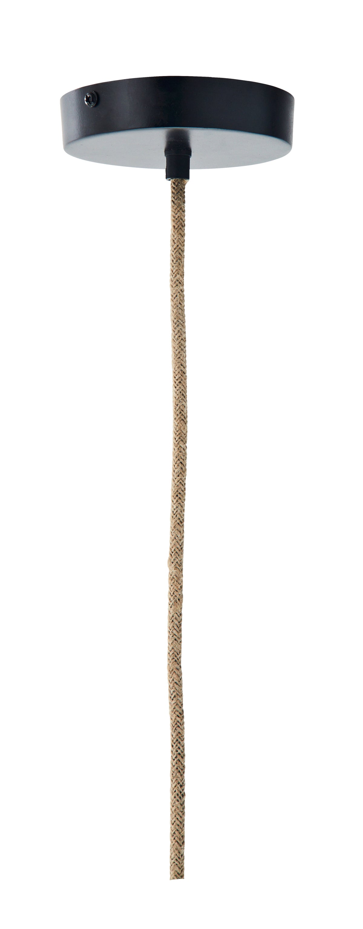 The seagrass drop pendant light flo & joe