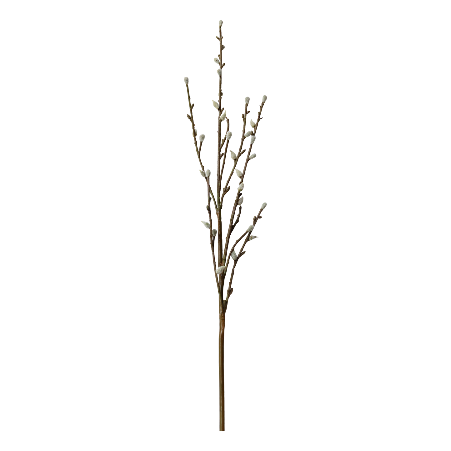 Faux Willow Stems - Flo & Joe