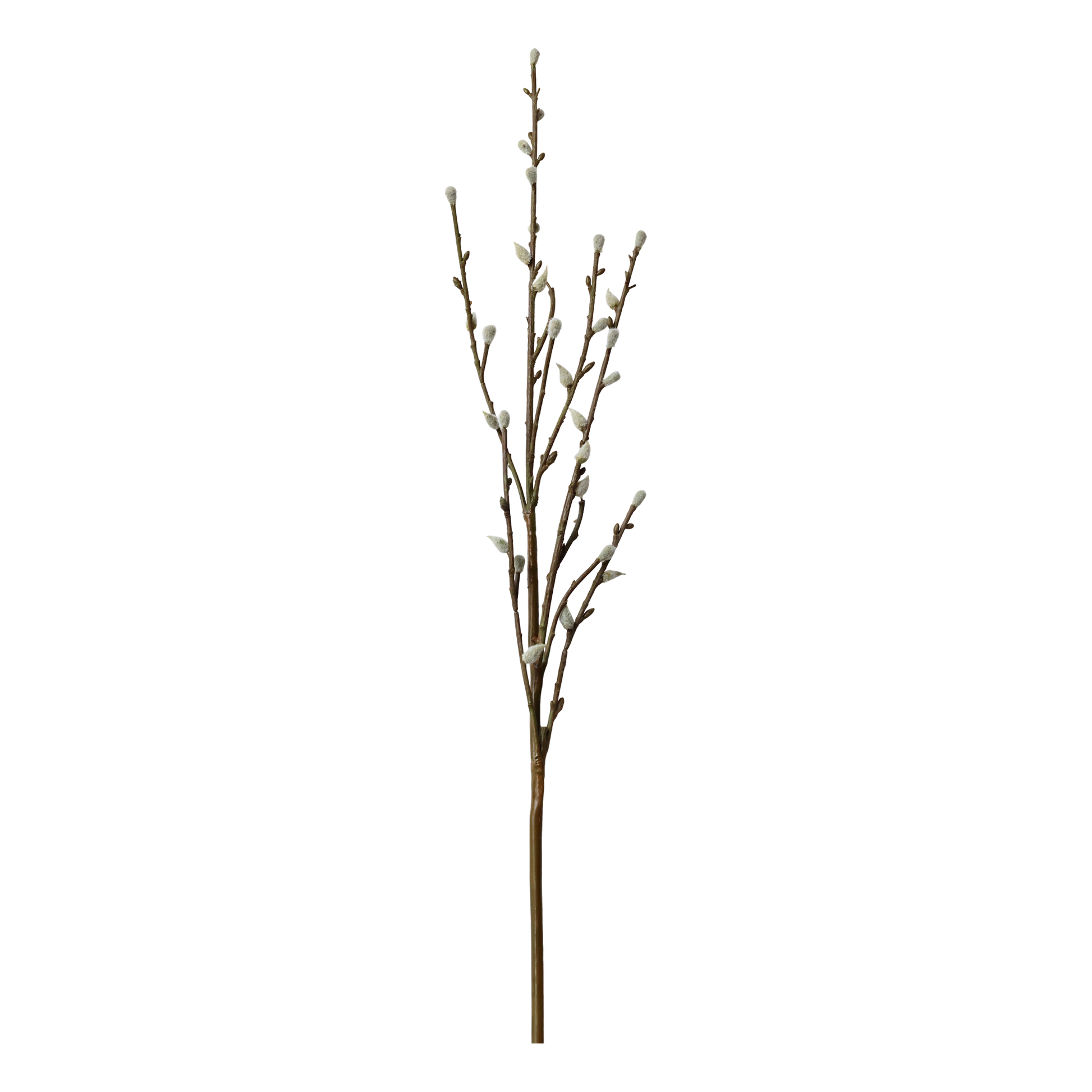 Faux Willow Stems - Flo & Joe