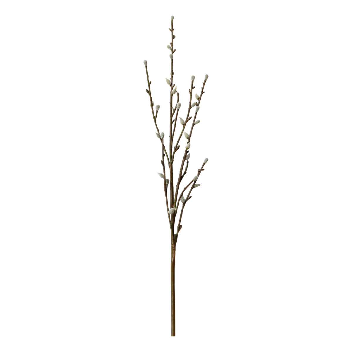 Faux willow stems flo & joe