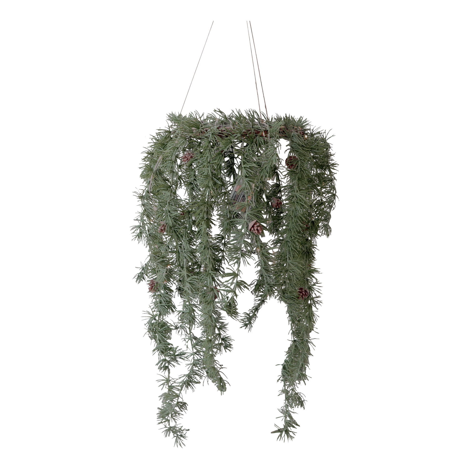 LED Hanging Pine Garland - Flo & Joe