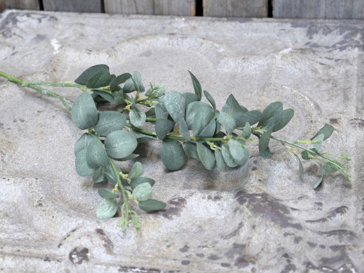 Faux eucalyptus branch flo & joe