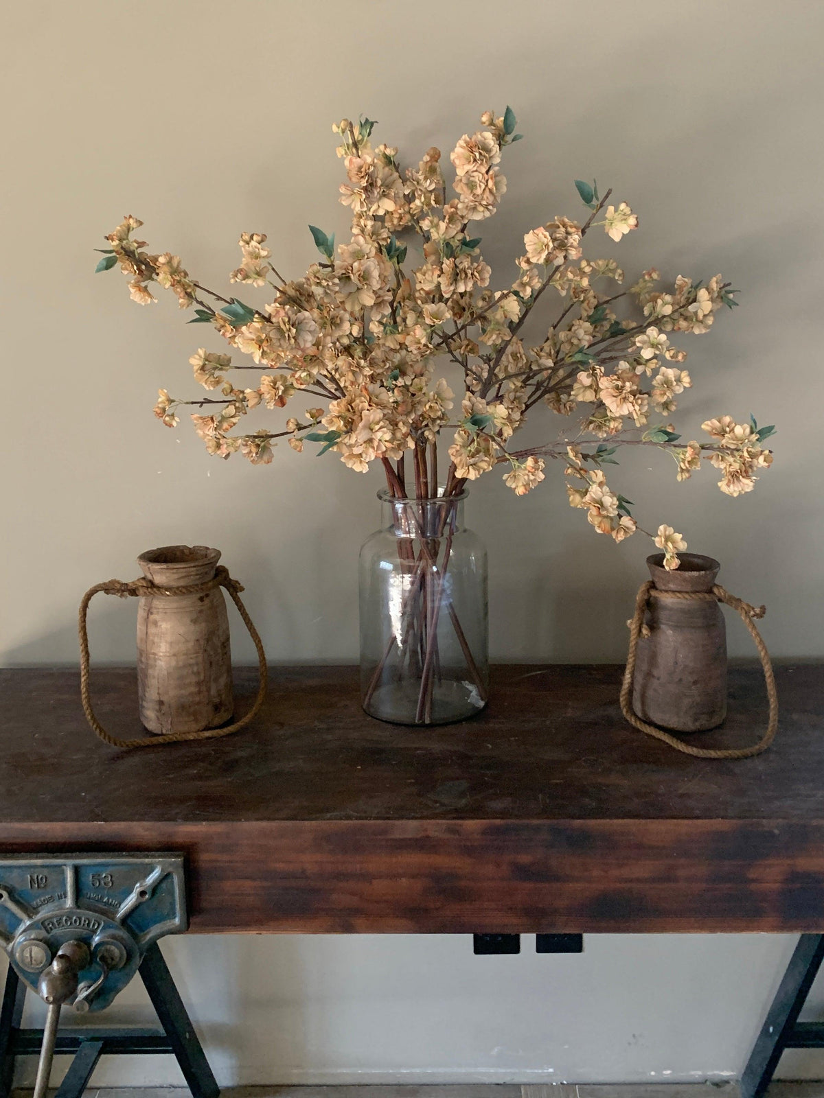 Japanese cherry flower stem flo & joe