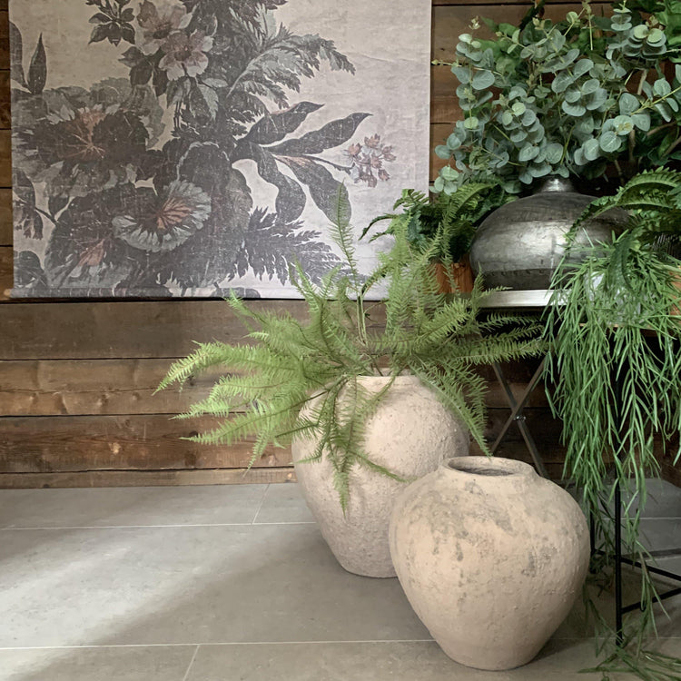 Pots & Plants - Flo & Joe