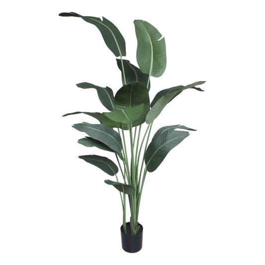 Faux Strelitzia Plant  - 6.7ft