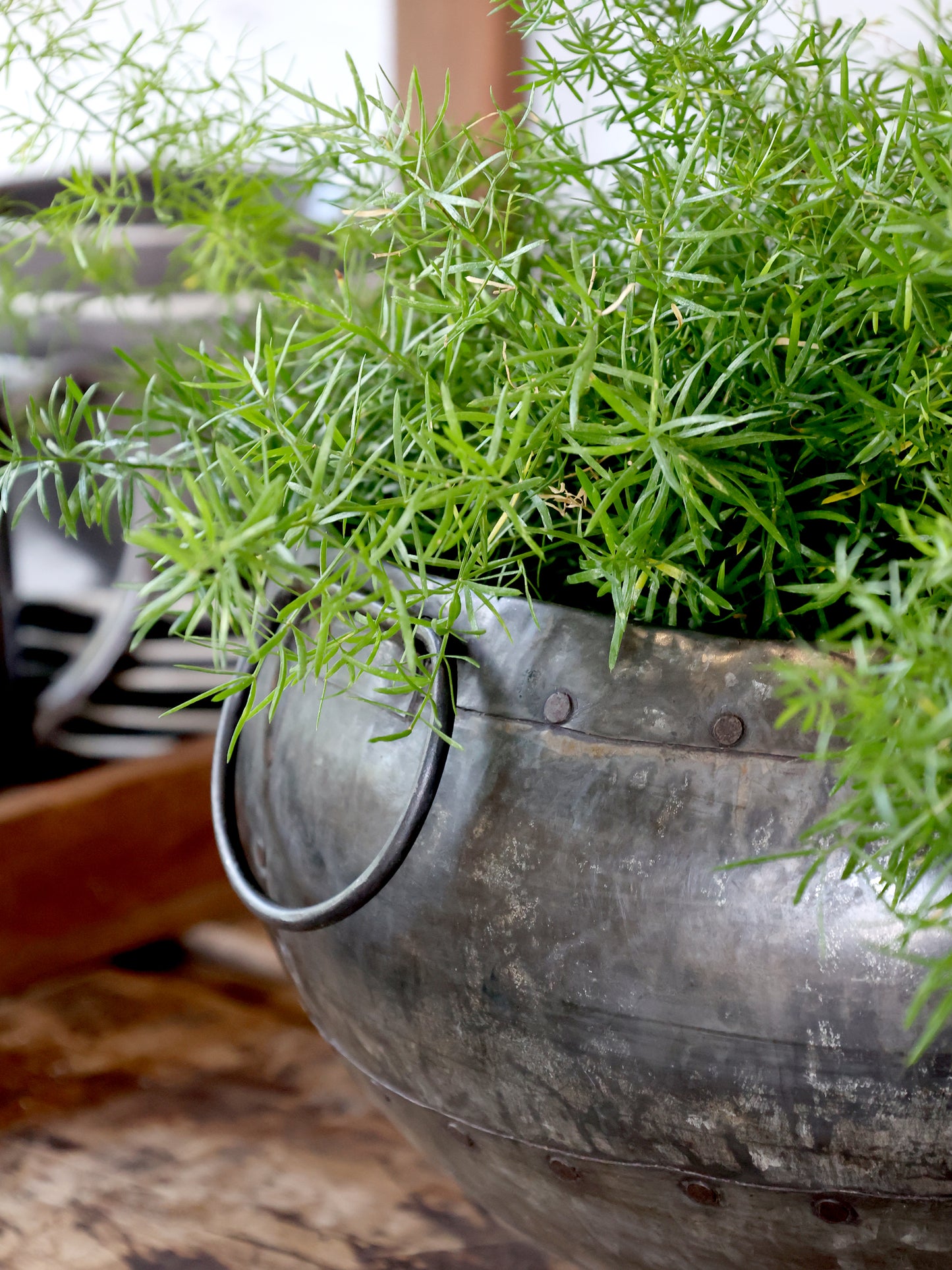 Antiqued Metal  Pot