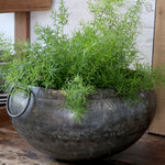 Antiqued Metal  Pot - Flo & Joe