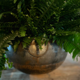 Antiqued Metal  Pot - Flo & Joe