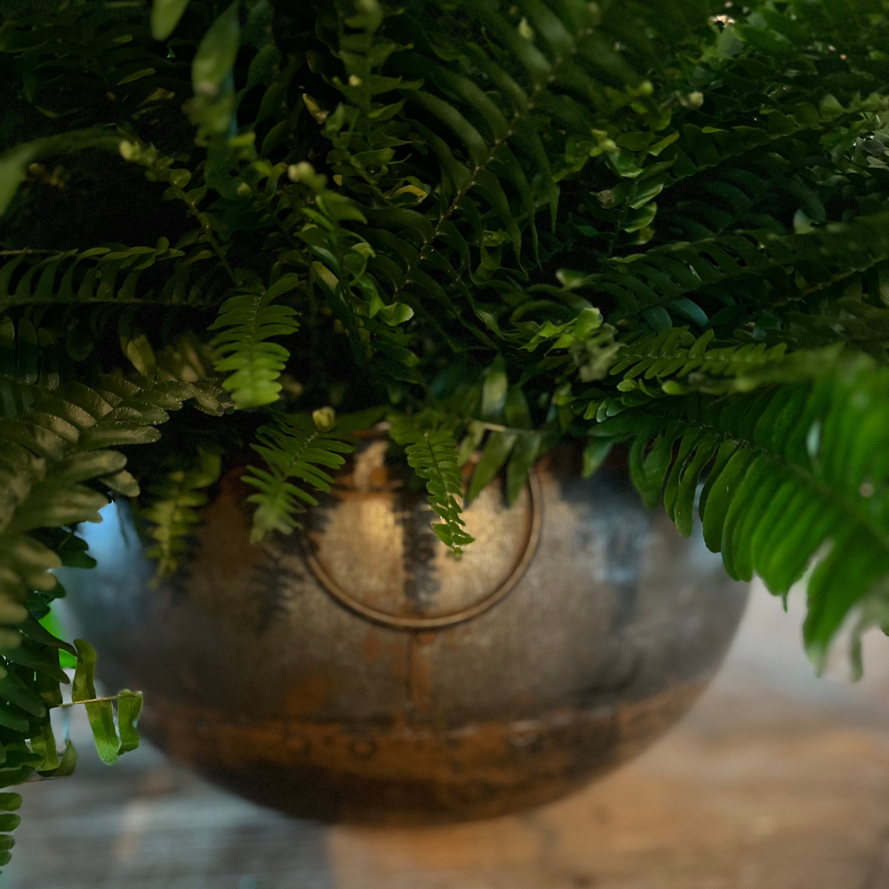 Antiqued Metal  Pot - Flo & Joe