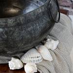 Antiqued Metal  Pot - Flo & Joe