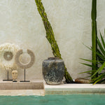 The Coastal Juju - White - S - Flo & Joe