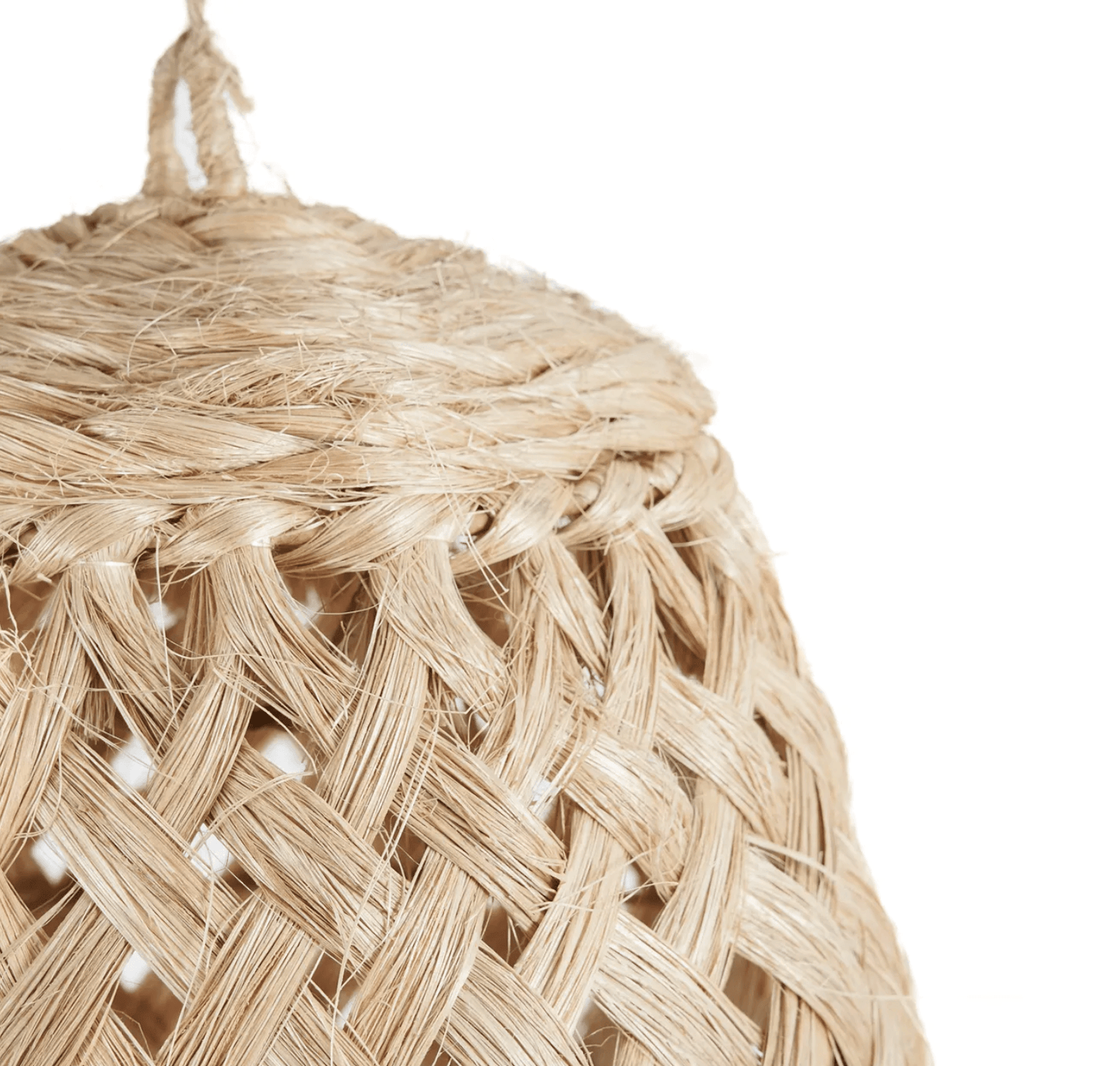 The Jelly Fish Pendant Light - S - Flo & Joe