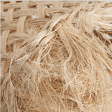 The Jelly Fish Pendant Light - S - Flo & Joe