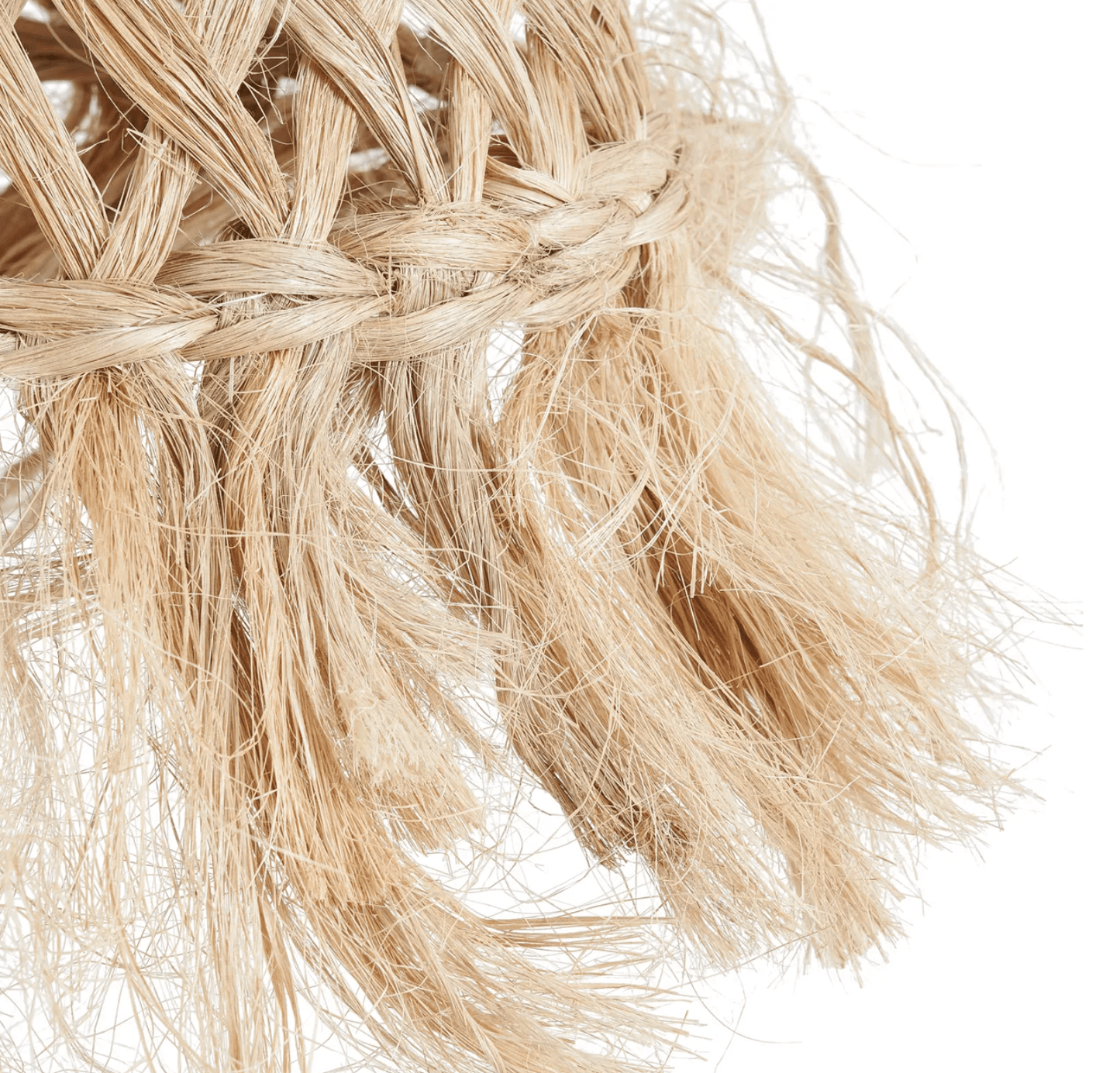 The Jelly Fish Pendant Light - S - Flo & Joe