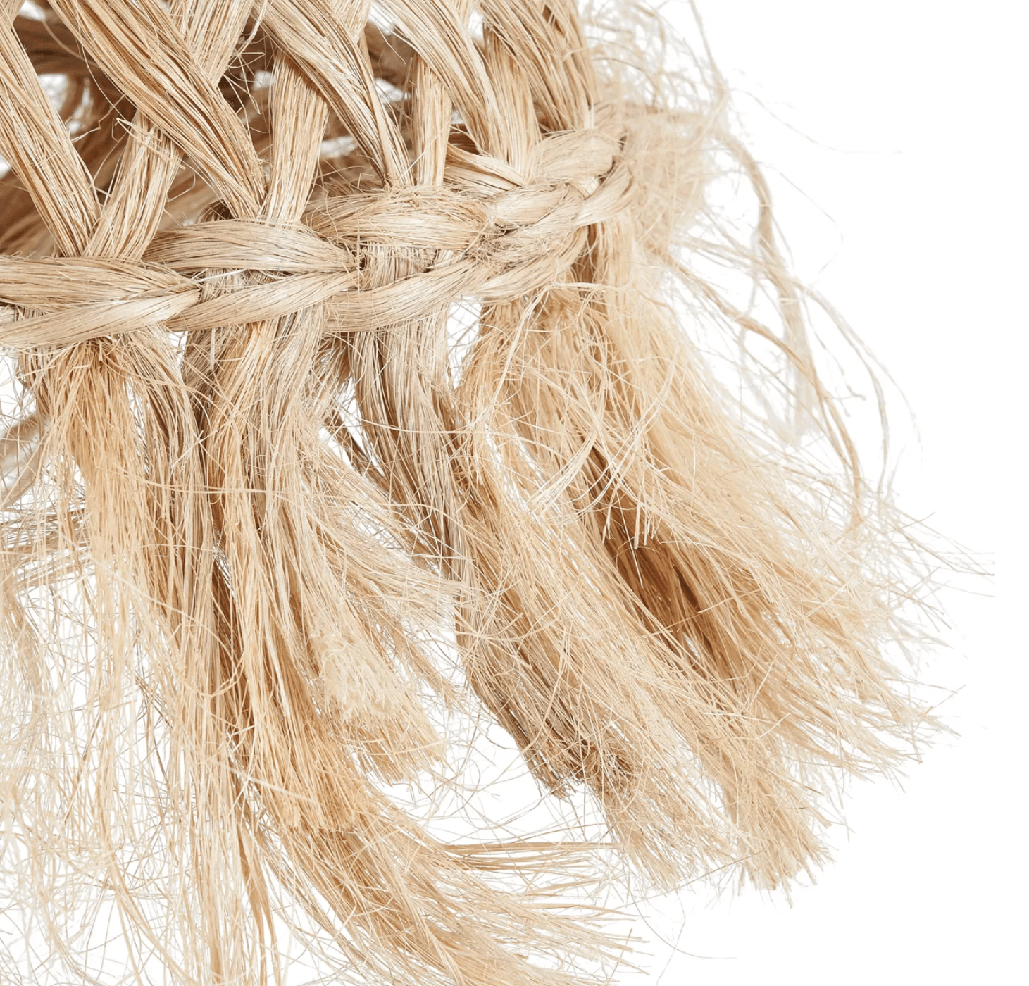 The Jelly Fish Pendant Light - S - Flo & Joe