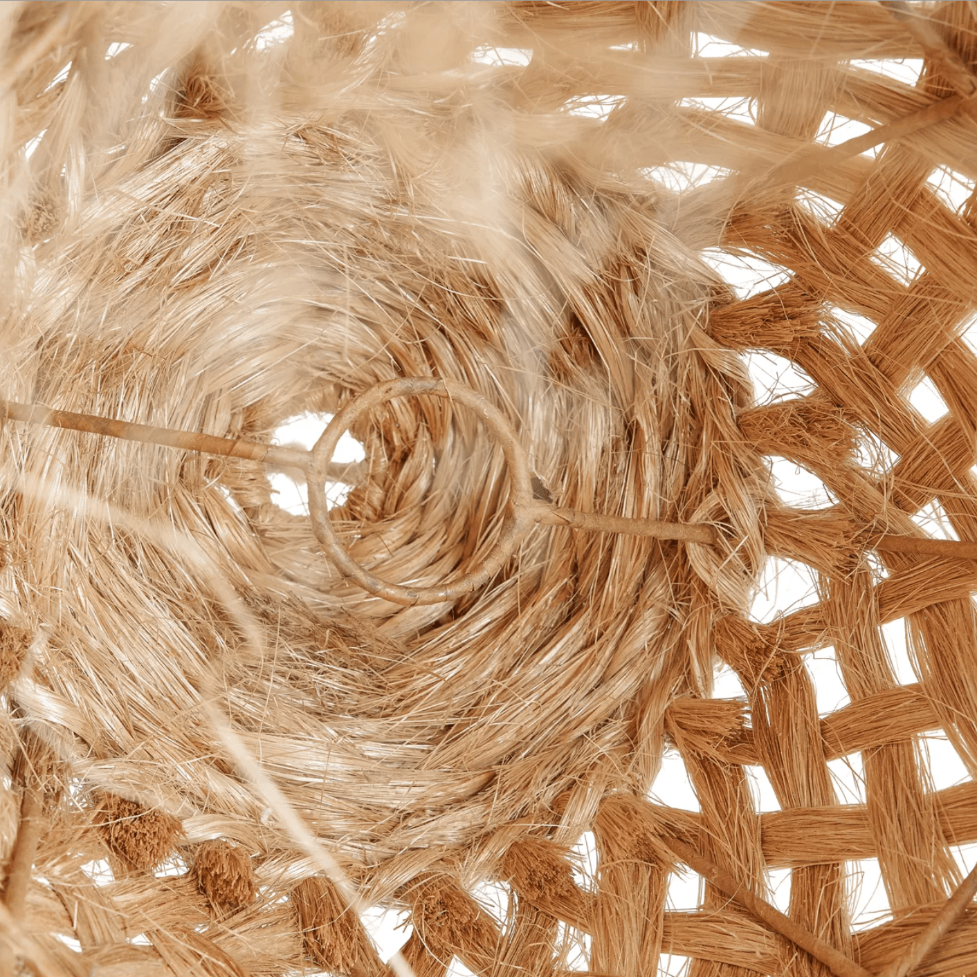 The Jelly Fish Pendant Light - S - Flo & Joe