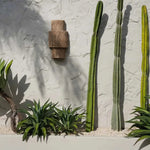 The Ohana Wall Appliqué - Flo & Joe