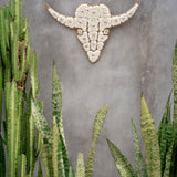 The Shell Bull Head - Flo & Joe