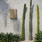 The SiriKit Wall Applique - Natural - Flo & Joe