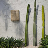 The SiriKit Wall Applique - Natural - Flo & Joe