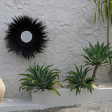 The Sunken Forest Mirror - Black - Flo & Joe