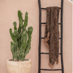 Tulum Teak Root Ladder - Black - Flo & Joe