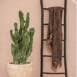 Tulum Teak Root Ladder - Black - Flo & Joe