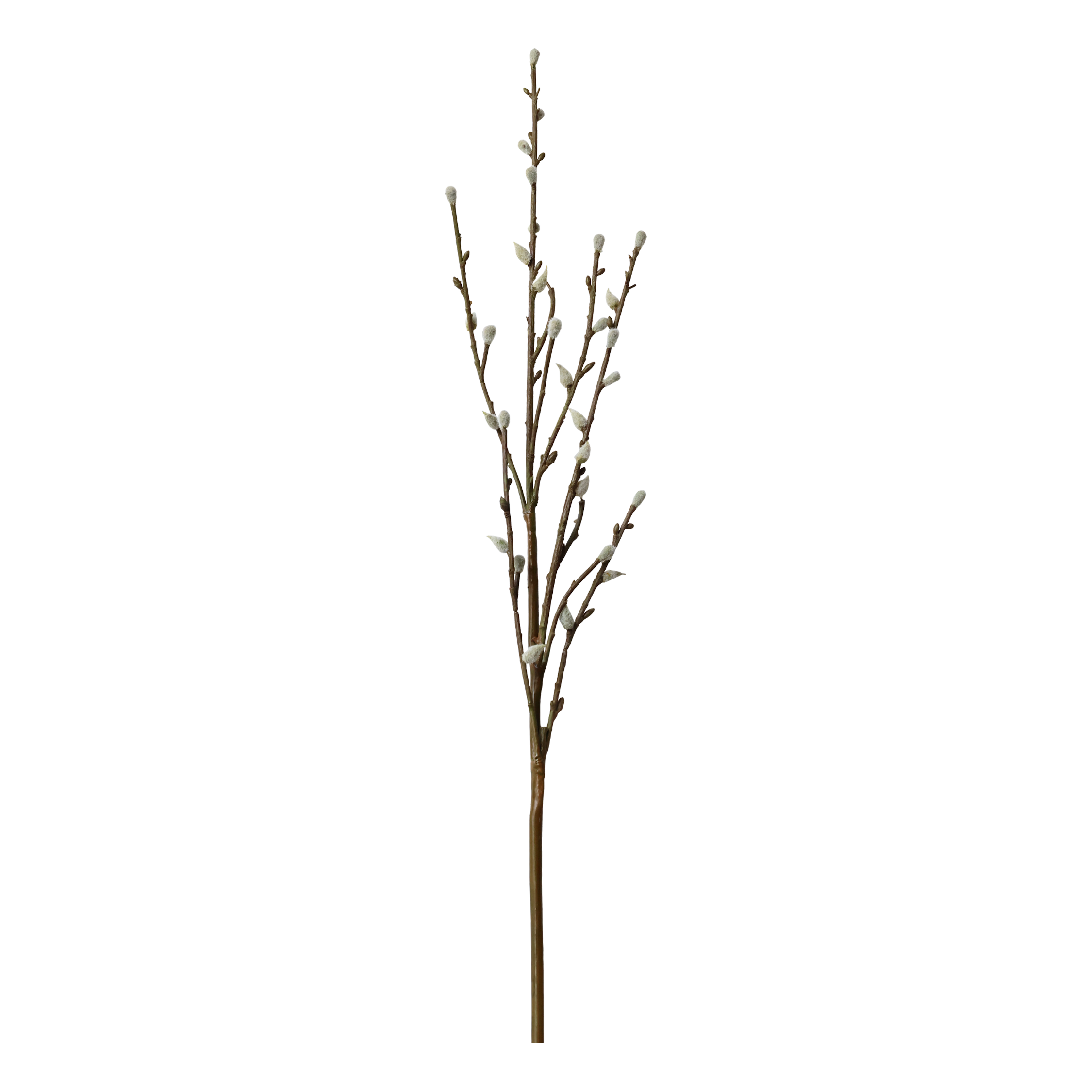 Faux Willow Stems - Flo & Joe