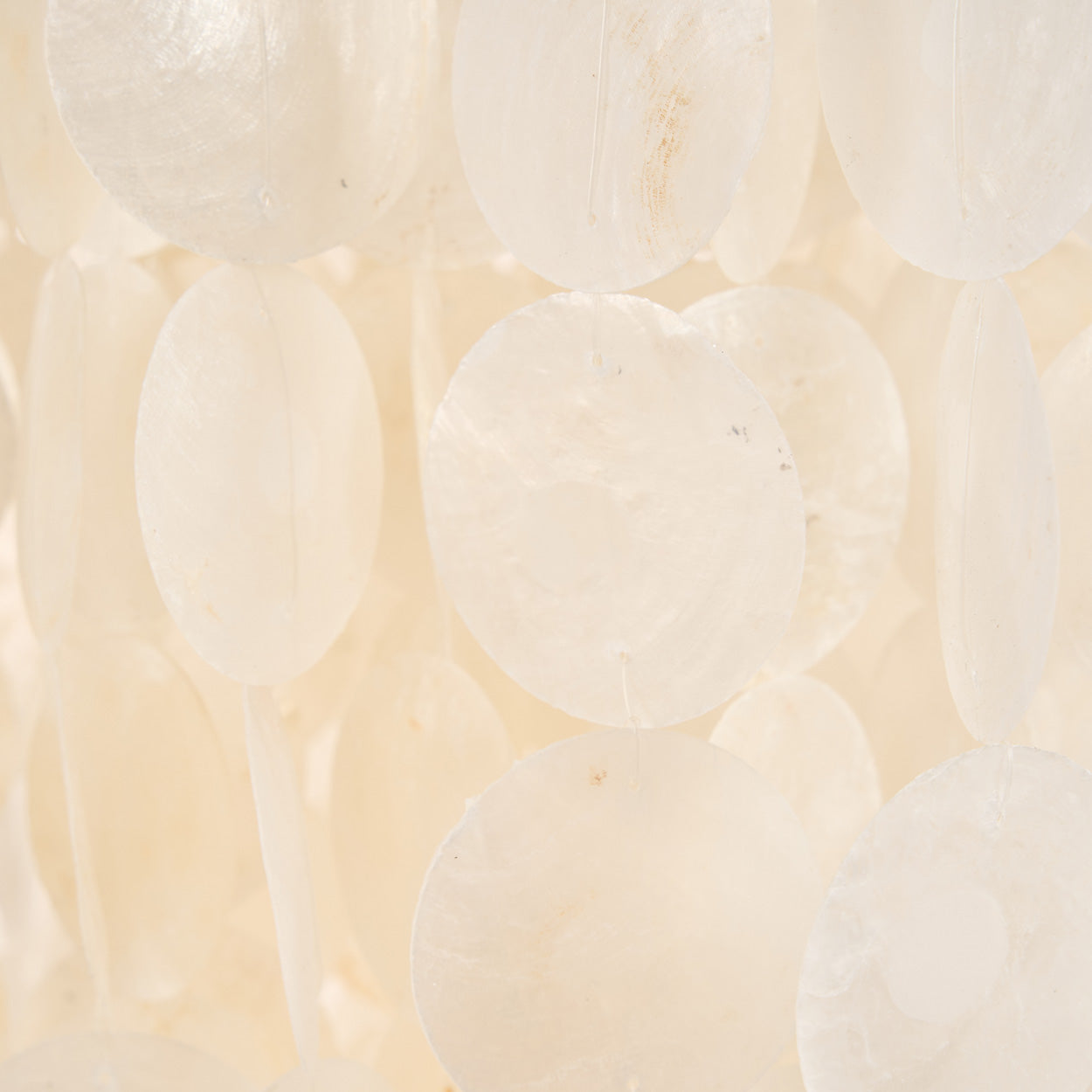 Close-up of white spherical shells on a beige background