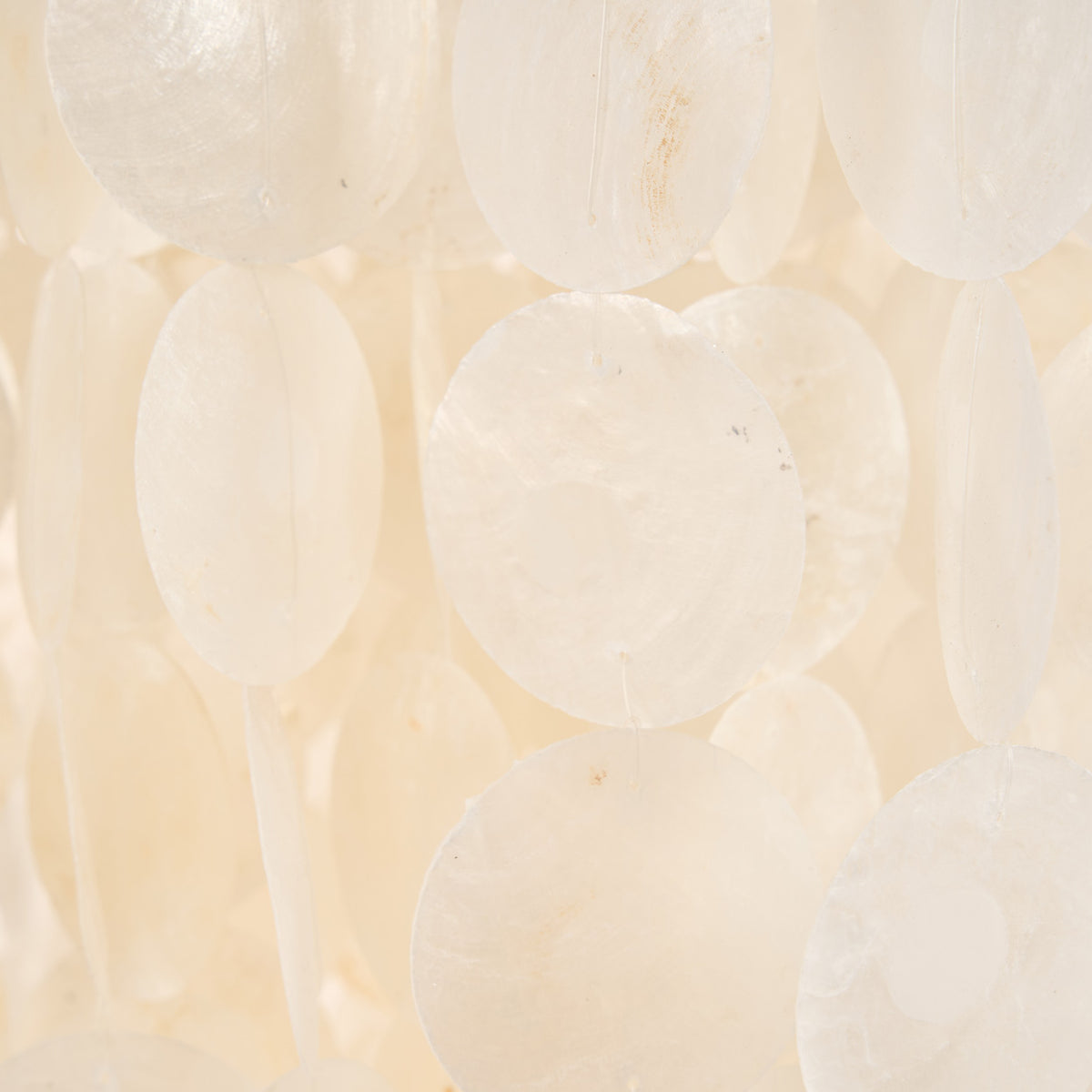 Close up of white spherical shells on a beige background
