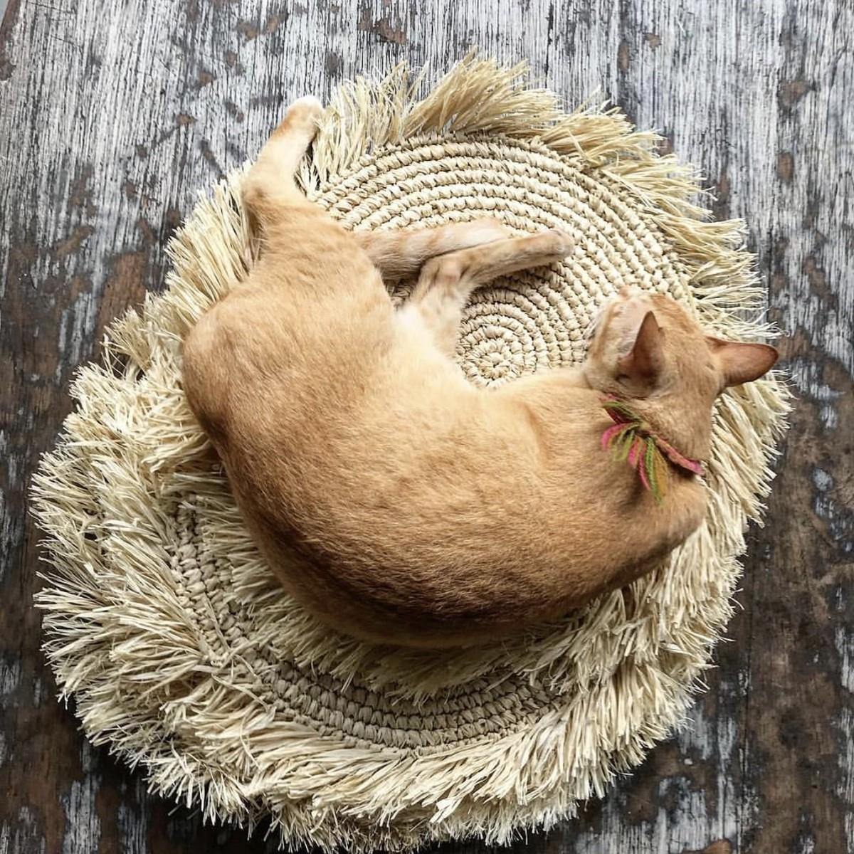 Large fringed raffia placemat   flo & joe