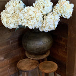 Antiqued Iron Vase - xl - Flo & Joe