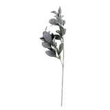 Faux Lambs Ear Stem - Flo & Joe