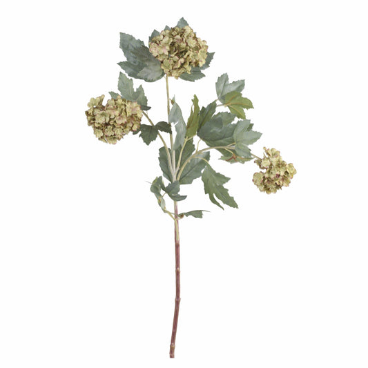 Faux Dried Snoball Flower Stems - Flo & Joe