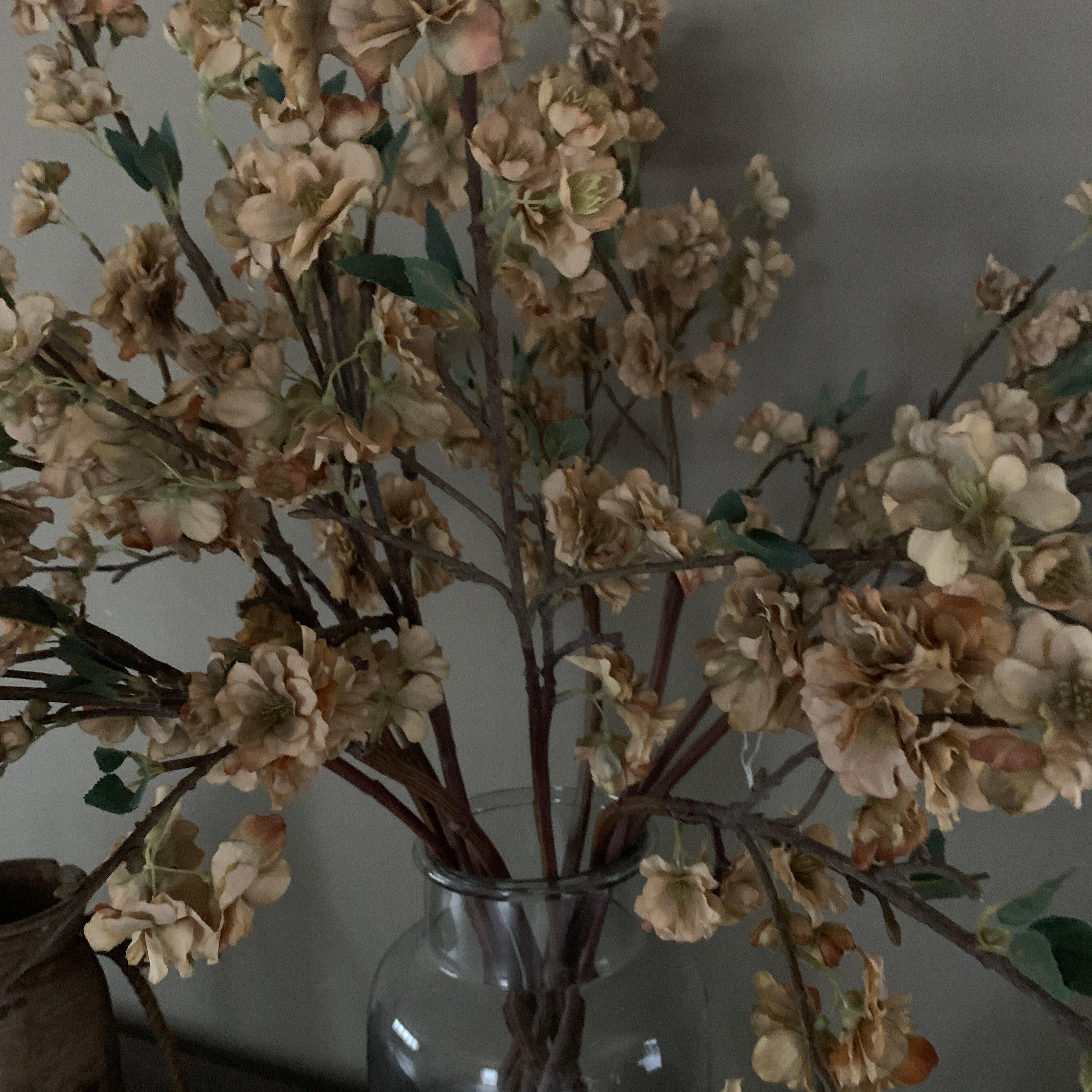 Japanese Cherry Flower Stem - Flo & Joe