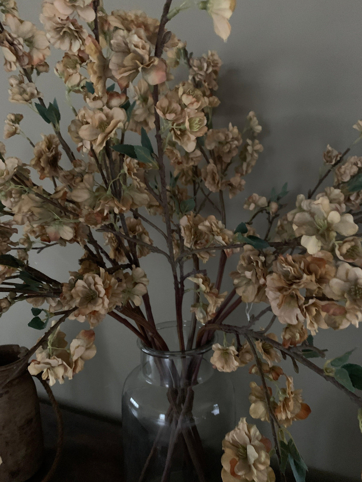 Japanese cherry flower stem   flo & joe