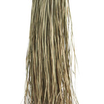 Long Natural Grass Deco - Flo & Joe