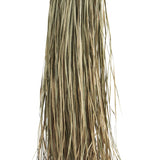 Long Natural Grass Deco - Flo & Joe