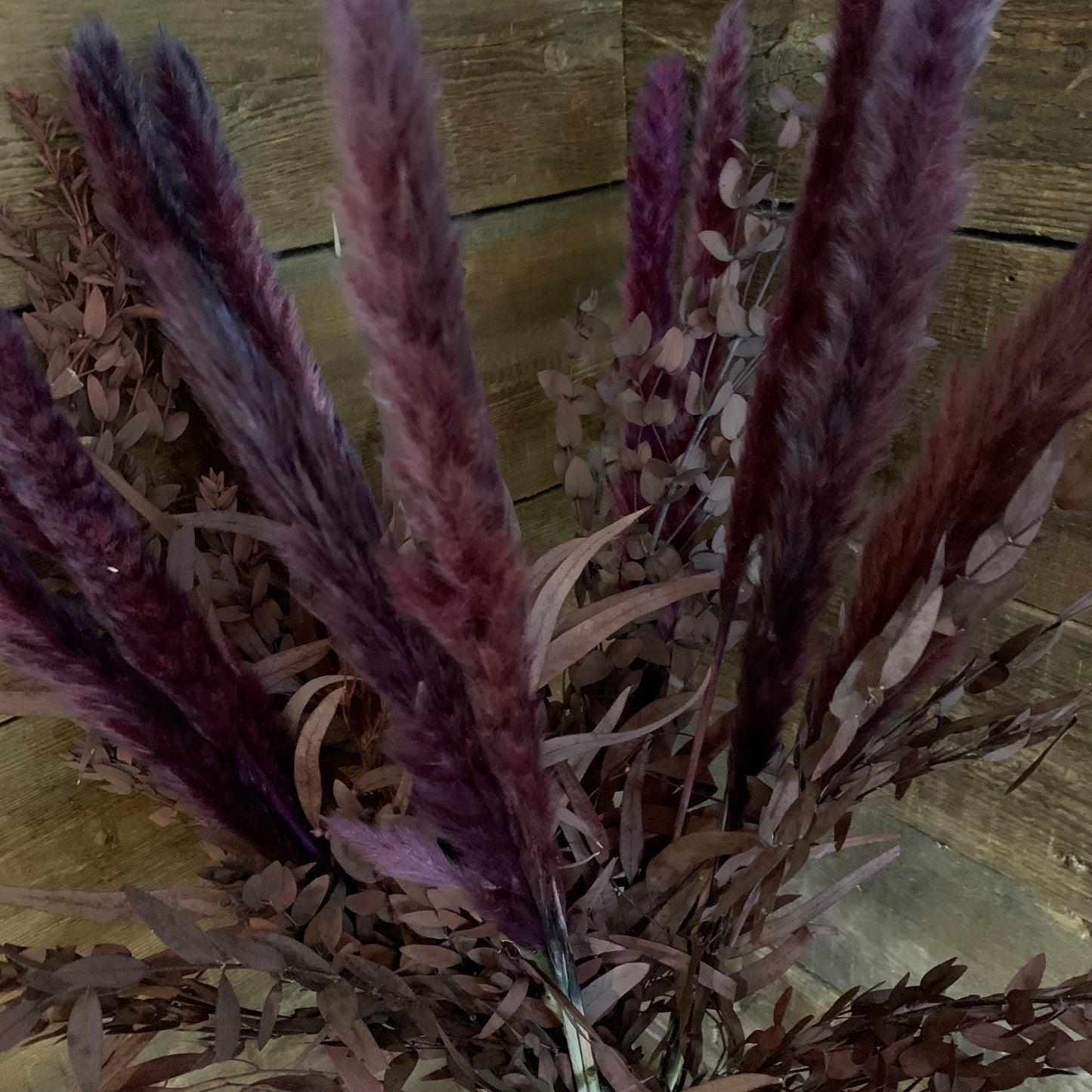 Miscanthus Floridulus Purple Dried Stems - Flo & Joe